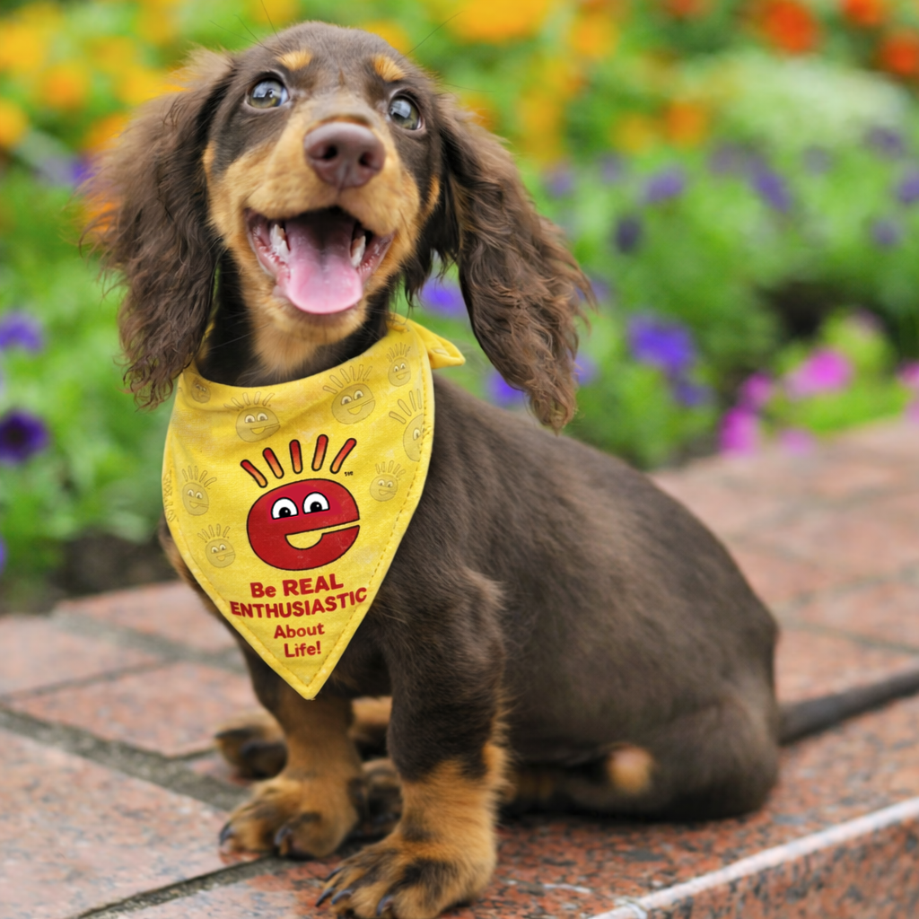 Enthusiastic Pet Bandana